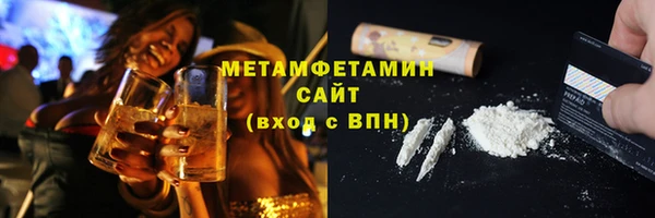 прущие грибы Балахна