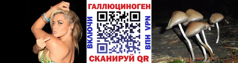 Галлюциногенные грибы Psilocybine cubensis Яхрома