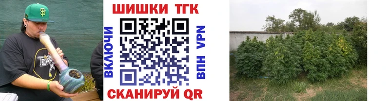 что такое   Яхрома  Шишки марихуана SATIVA & INDICA 